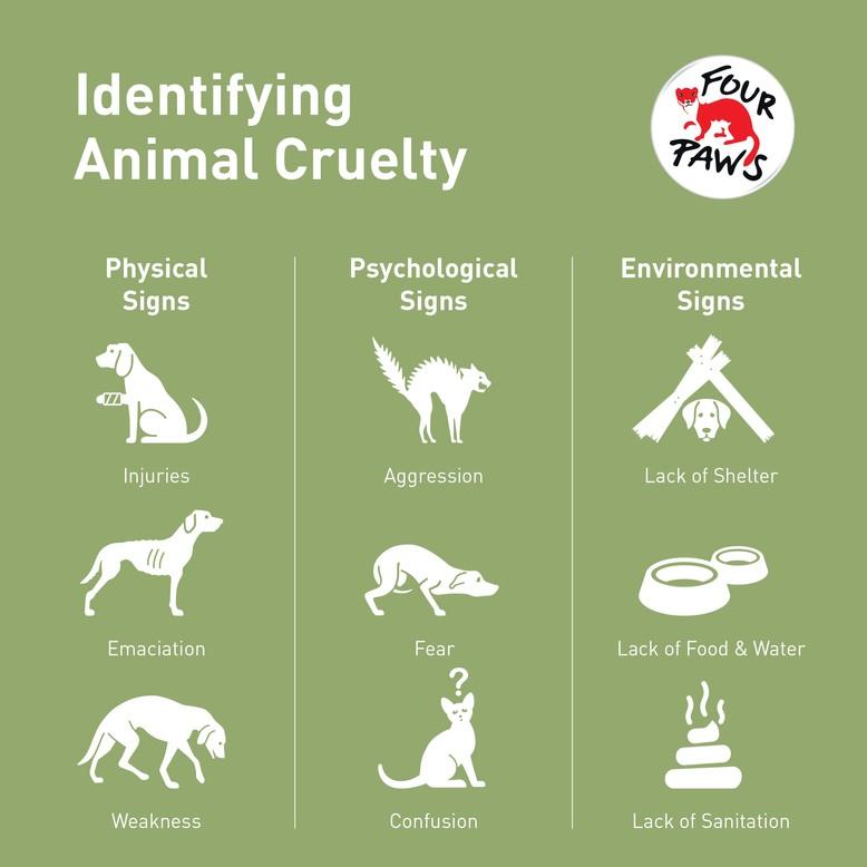 Signs of animal abuse