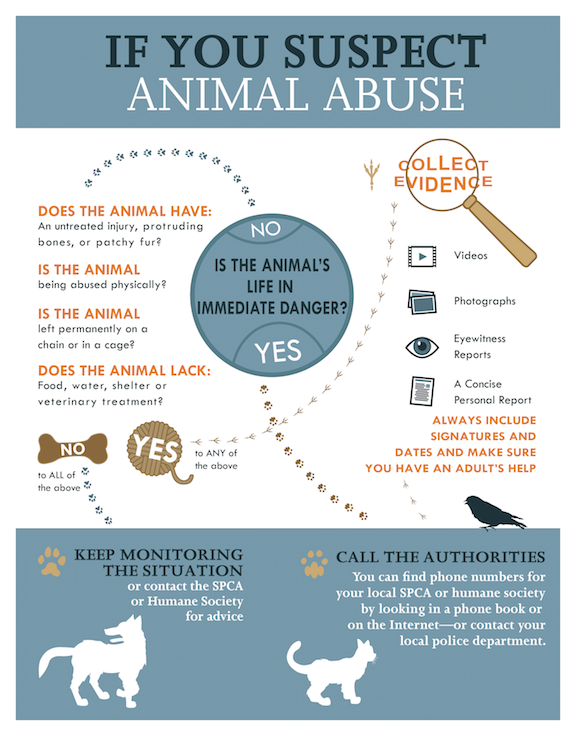Responding to animal abuse and neglect